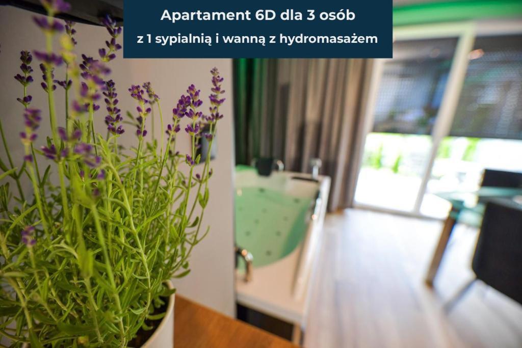 Sloneczne Wzgorze Zator Apartment Bagian luar foto
